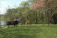 NAMIWalk07 (377) 